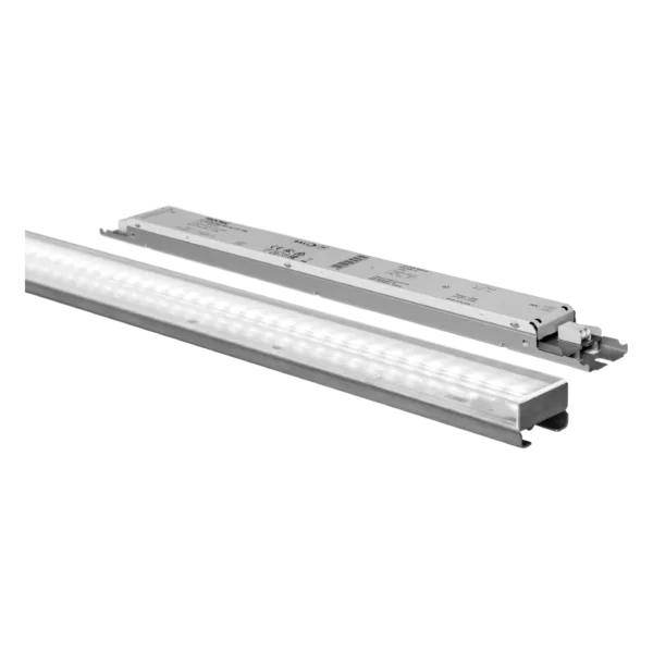 LED Insert